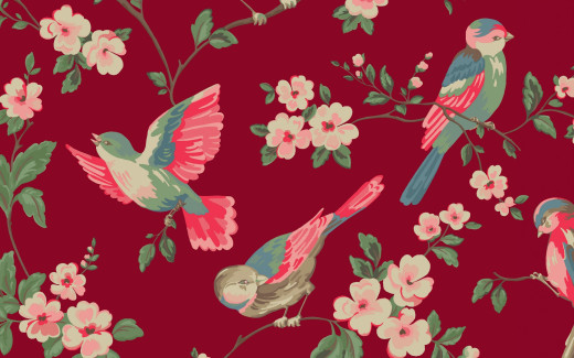 1198402 (a): :2560x1600
